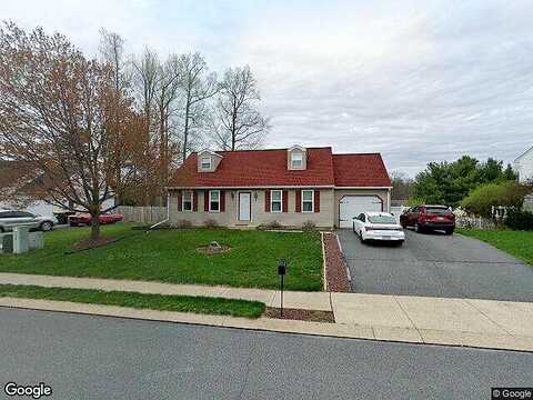 Buckwheat, DENVER, PA 17517