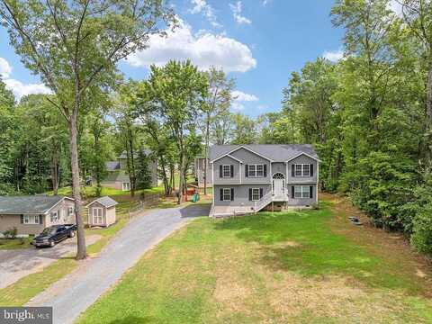 Cochise, WINCHESTER, VA 22602