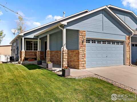 Lily, LOVELAND, CO 80537