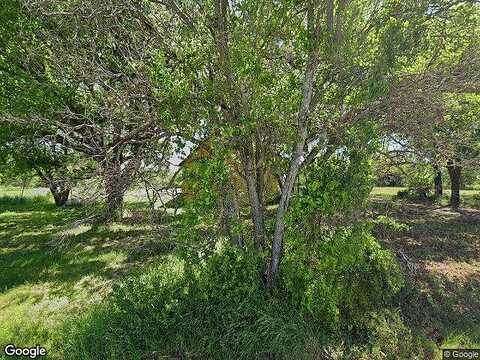 Cattail, MILLSAP, TX 76066