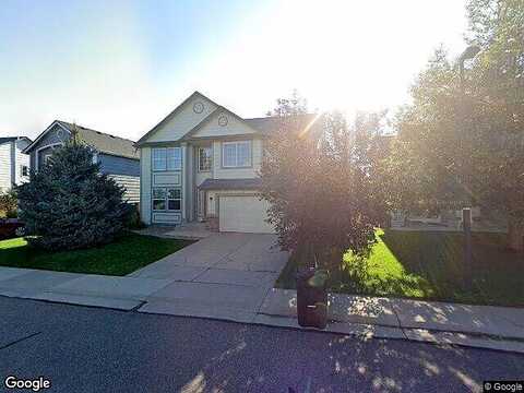 Spruce, CASTLE ROCK, CO 80104