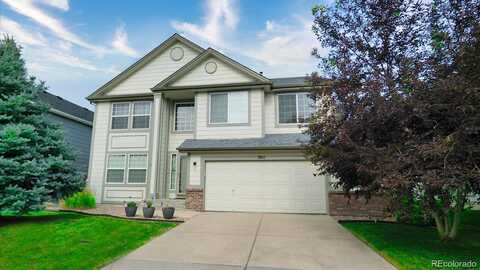 Spruce, CASTLE ROCK, CO 80104