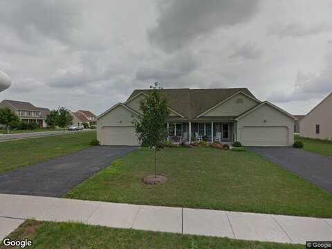 Thrush, MANHEIM, PA 17545