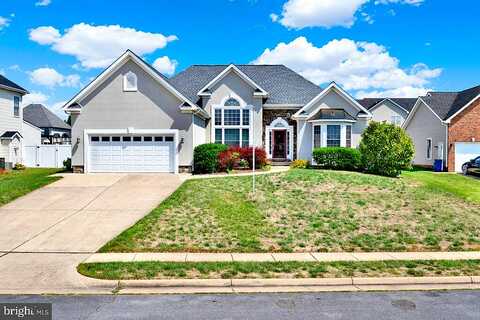 Darby, WINCHESTER, VA 22602