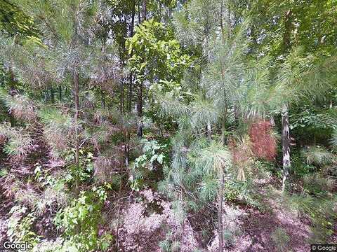 Fox Knoll, SOUTH CHESTERFIELD, VA 23834