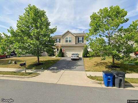 Nightbird, STEPHENS CITY, VA 22655