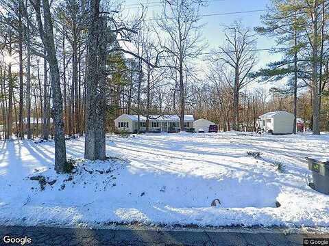 Cattail, CHESTERFIELD, VA 23838