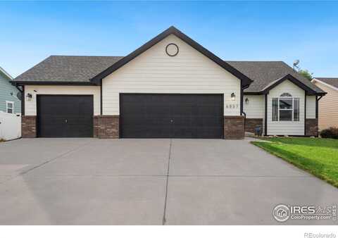 Mount Democrat, WELLINGTON, CO 80549
