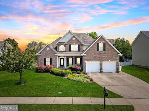 Darby, WINCHESTER, VA 22602