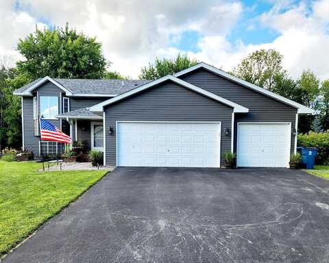Georgia, FOREST LAKE, MN 55025