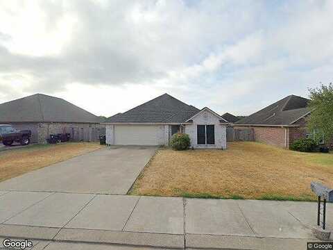 Bougainvillea, COLLEGE STATION, TX 77845