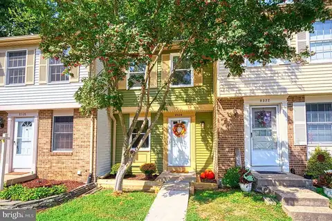 Bark Tree, SPRINGFIELD, VA 22153