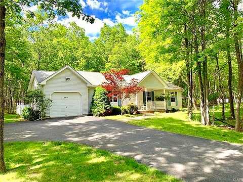 Larch, ALBRIGHTSVILLE, PA 18210