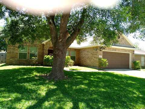 Lobo, ANGLETON, TX 77515