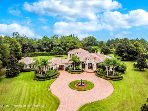 Virginia Lee, BROOKSVILLE, FL 34602