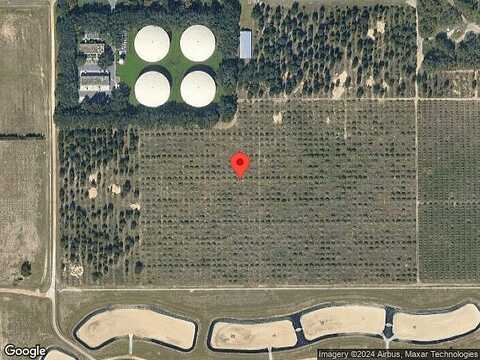 Golden Apple, WINTER GARDEN, FL 34787