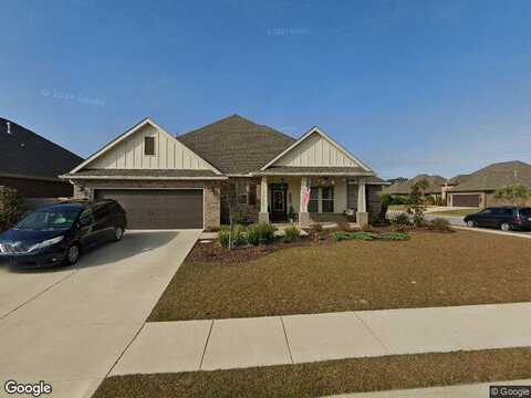 Foxtail Palm, GULF BREEZE, FL 32563