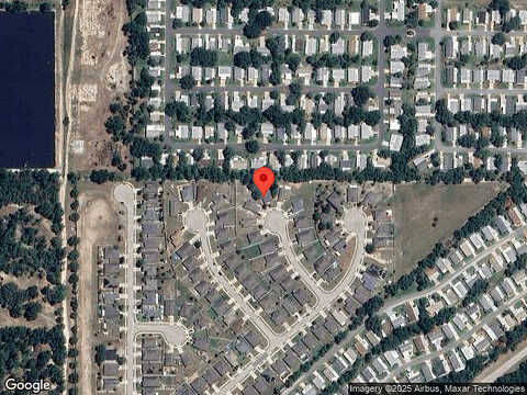 Wild Ocelot, DELAND, FL 32724