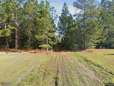 Coleman, LUDOWICI, GA 31316