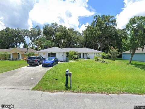Needle Palm, EDGEWATER, FL 32141