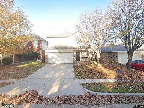 Mountain Lion, FORT WORTH, TX 76244