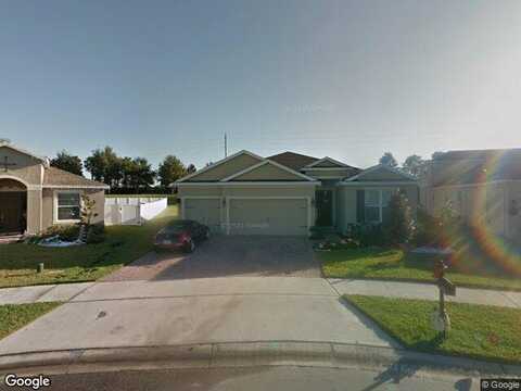 Alligator, SAINT CLOUD, FL 34771