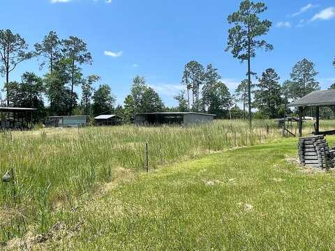 El Curtis, NICHOLLS, GA 31554