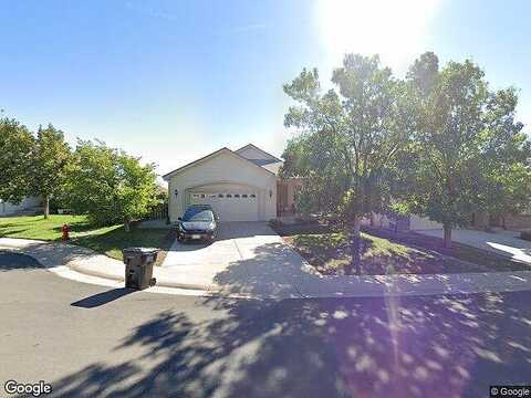 Grizzly, LITTLETON, CO 80125