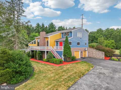Acorn, EMMAUS, PA 18049