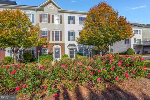 Potomac Highlands, TRIANGLE, VA 22172