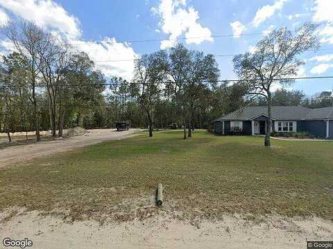 Racoon, MIDDLEBURG, FL 32068