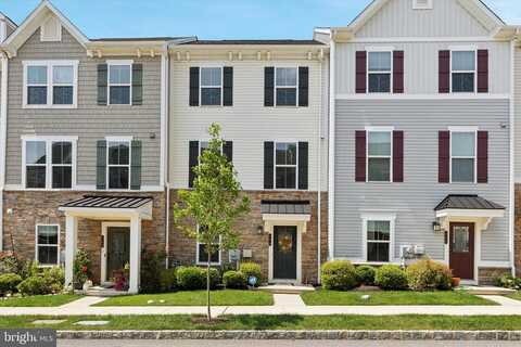 Blue Welsh, MALVERN, PA 19355