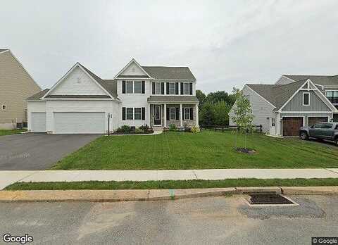 Hollyhock, MANCHESTER, PA 17345