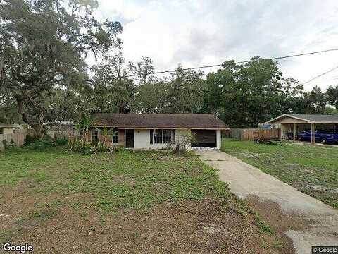 Orchid, DADE CITY, FL 33523