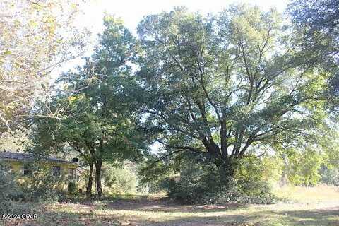Johnson, BONIFAY, FL 32425