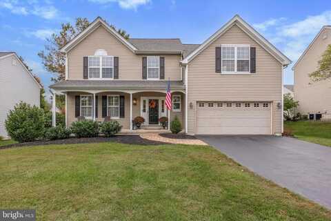 Adamson, PHOENIXVILLE, PA 19460