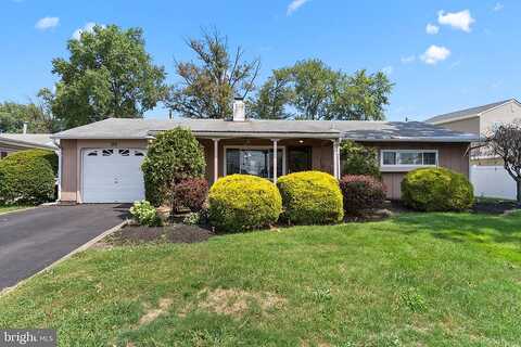 Willow, LEVITTOWN, PA 19054