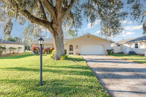 King Richard, TITUSVILLE, FL 32796