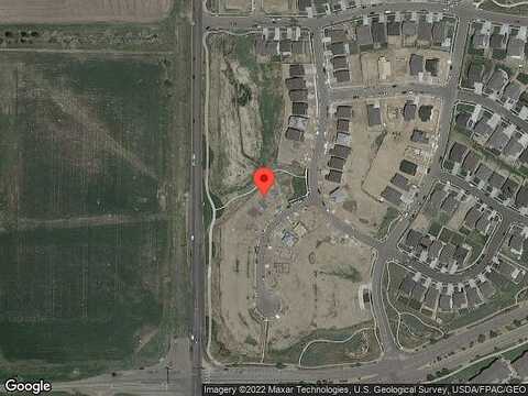 Coopers Hawk, BRIGHTON, CO 80601