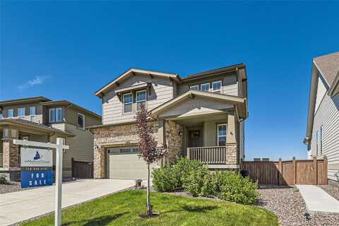 Coopers Hawk, BRIGHTON, CO 80601