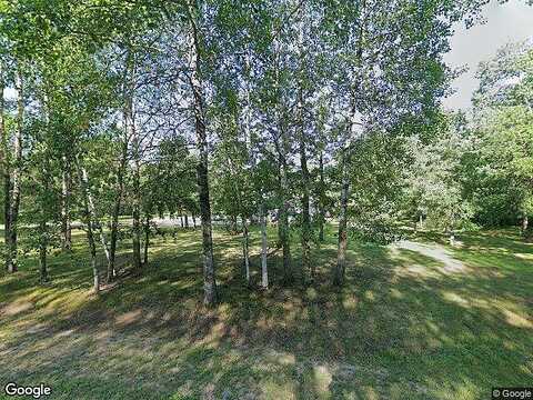 Conifer, PARK RAPIDS, MN 56470