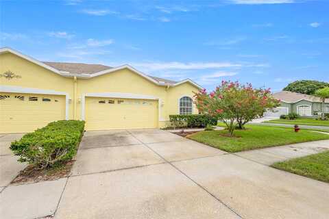 Putter Green, NEW PORT RICHEY, FL 34654