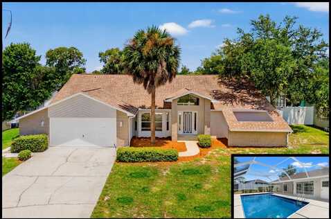 Captain, SPRING HILL, FL 34608