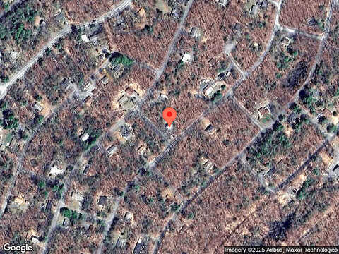 Birch, DINGMANS FERRY, PA 18328