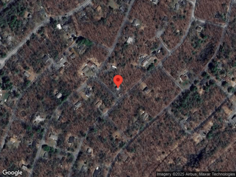 Birch, DINGMANS FERRY, PA 18328