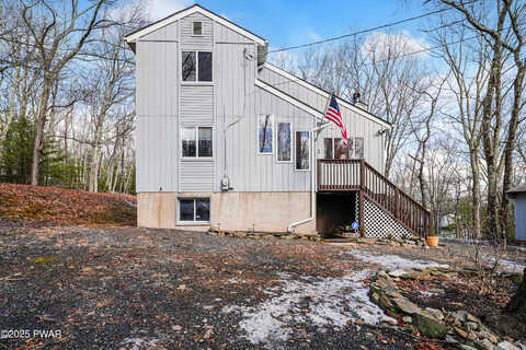 Birch, DINGMANS FERRY, PA 18328