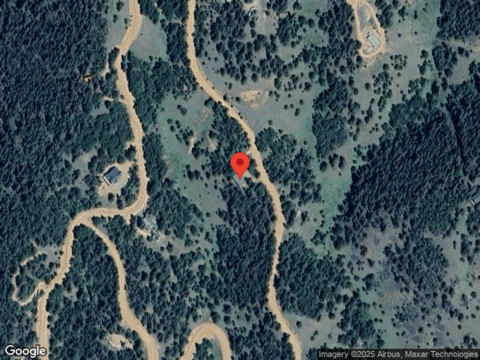 Brown Bear, CRIPPLE CREEK, CO 80813