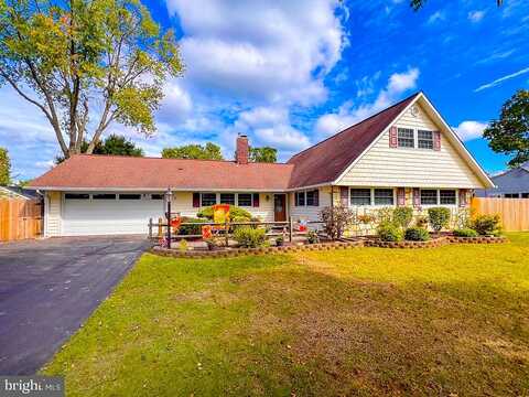 Smoketree, LEVITTOWN, PA 19056