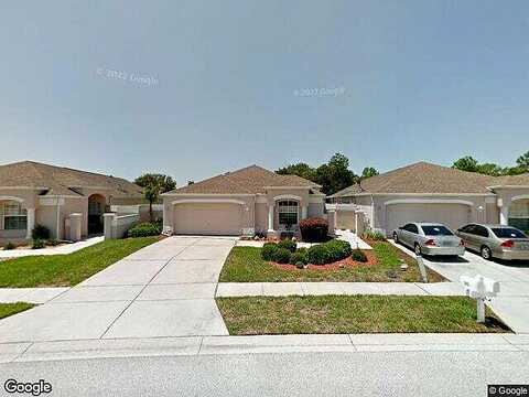Royal Palm, SPRING HILL, FL 34608