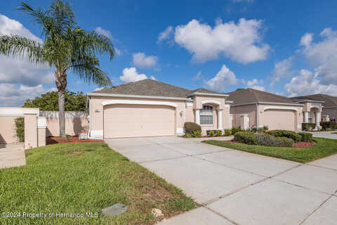 Royal Palm, SPRING HILL, FL 34608